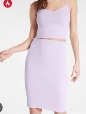 Express Set: Levander Skirt - and top